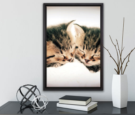 Katzen Herzform auf Leinwandbild gerahmt mit Kirschblüten