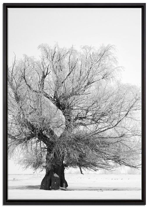 Bäume im Schnee Nebel auf Leinwandbild gerahmt Größe 100x70
