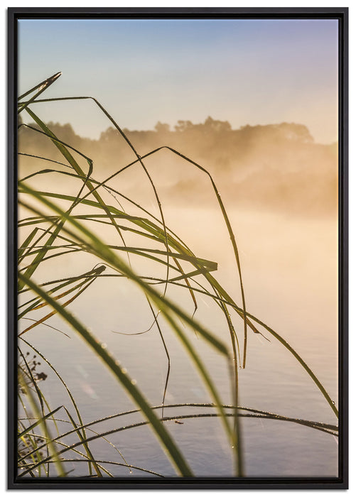 Schilf am See auf Leinwandbild gerahmt Größe 100x70