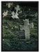 Friedhof schwarz weiß auf Leinwandbild gerahmt Größe 80x60