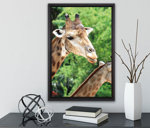 Giraffen auf Leinwandbild gerahmt mit Kirschblüten