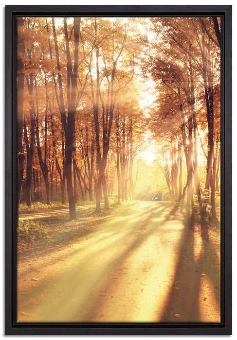 Baumallee im Herbst auf Leinwandbild gerahmt Größe 60x40
