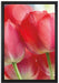 Rote Tulpen auf Leinwandbild gerahmt Größe 60x40