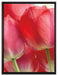 Rote Tulpen auf Leinwandbild gerahmt Größe 80x60