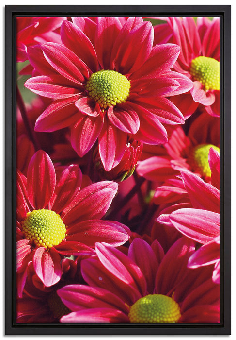 Rote Blüten auf Leinwandbild gerahmt Größe 60x40
