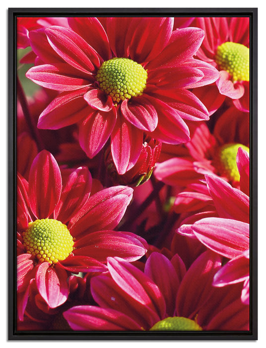 Rote Blüten auf Leinwandbild gerahmt Größe 80x60