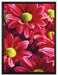 Rote Blüten auf Leinwandbild gerahmt Größe 80x60