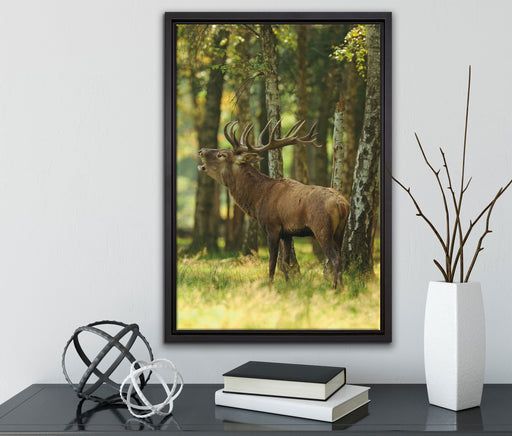 Hirsch im Wald auf Leinwandbild gerahmt mit Kirschblüten