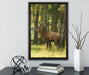 Hirsch im Wald auf Leinwandbild gerahmt mit Kirschblüten