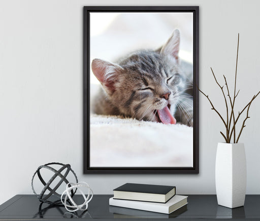 Kleines Kätzchen auf Leinwandbild gerahmt mit Kirschblüten