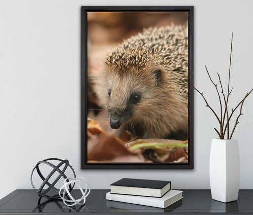 Kleiner Igel auf Leinwandbild gerahmt mit Kirschblüten
