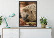 Kleiner Igel auf Leinwandbild gerahmt verschiedene Größen im Wohnzimmer