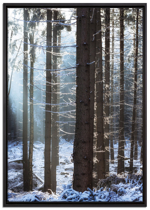 Winterwald auf Leinwandbild gerahmt Größe 100x70