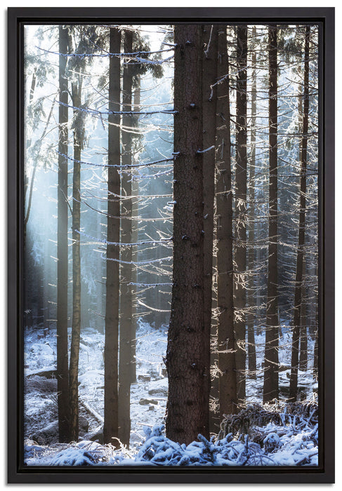 Winterwald auf Leinwandbild gerahmt Größe 60x40