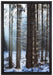 Winterwald auf Leinwandbild gerahmt Größe 60x40