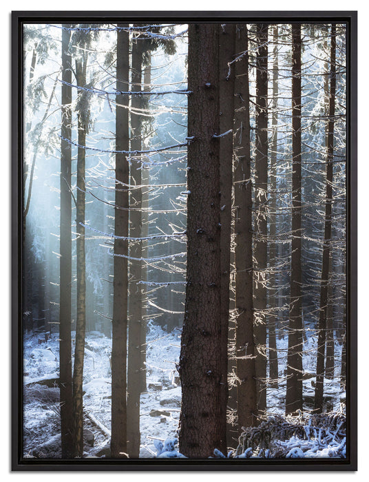 Winterwald auf Leinwandbild gerahmt Größe 80x60