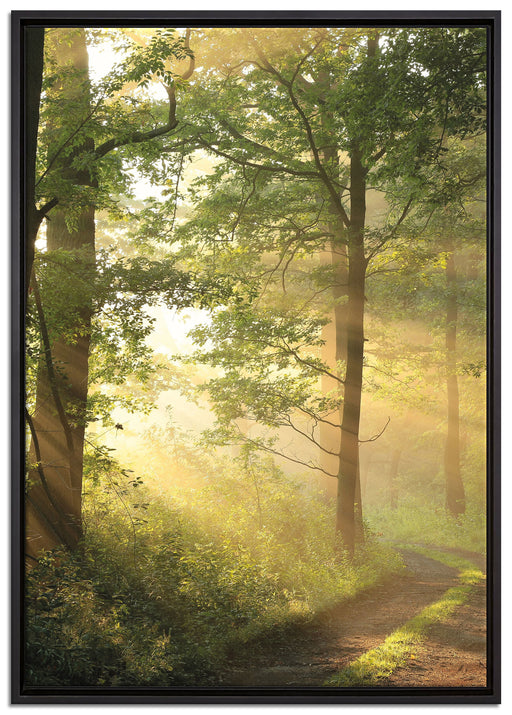Waldweg auf Leinwandbild gerahmt Größe 100x70