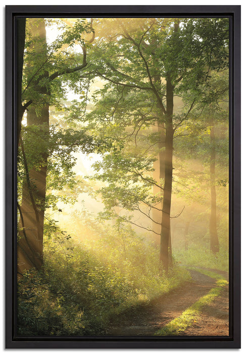 Waldweg auf Leinwandbild gerahmt Größe 60x40