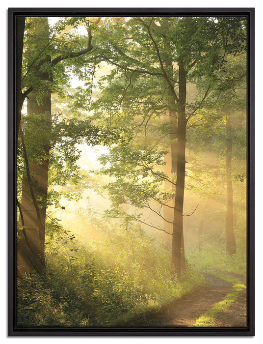 Waldweg auf Leinwandbild gerahmt Größe 80x60