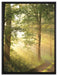 Waldweg auf Leinwandbild gerahmt Größe 80x60