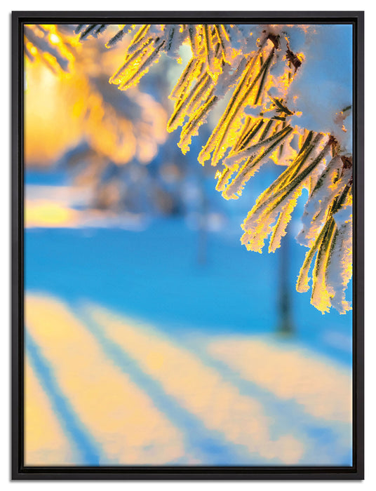 Äste im Frost auf Leinwandbild gerahmt Größe 80x60