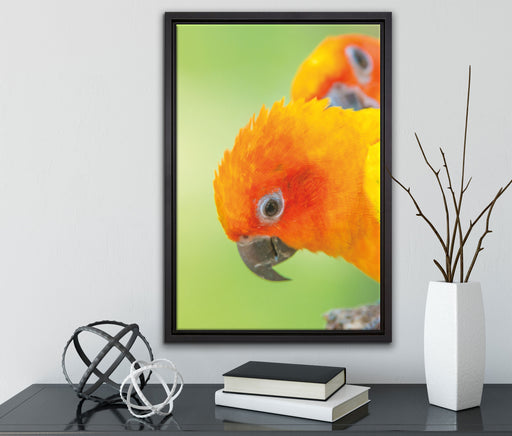 Papageienpärchen auf Leinwandbild gerahmt mit Kirschblüten