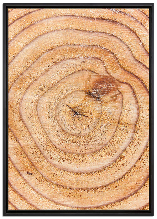 Baumringe auf Leinwandbild gerahmt Größe 100x70