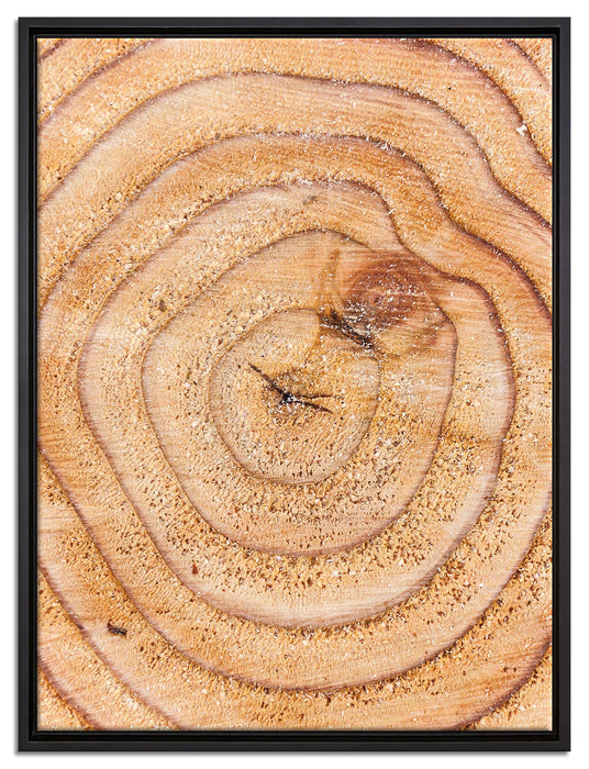 Baumringe auf Leinwandbild gerahmt Größe 80x60