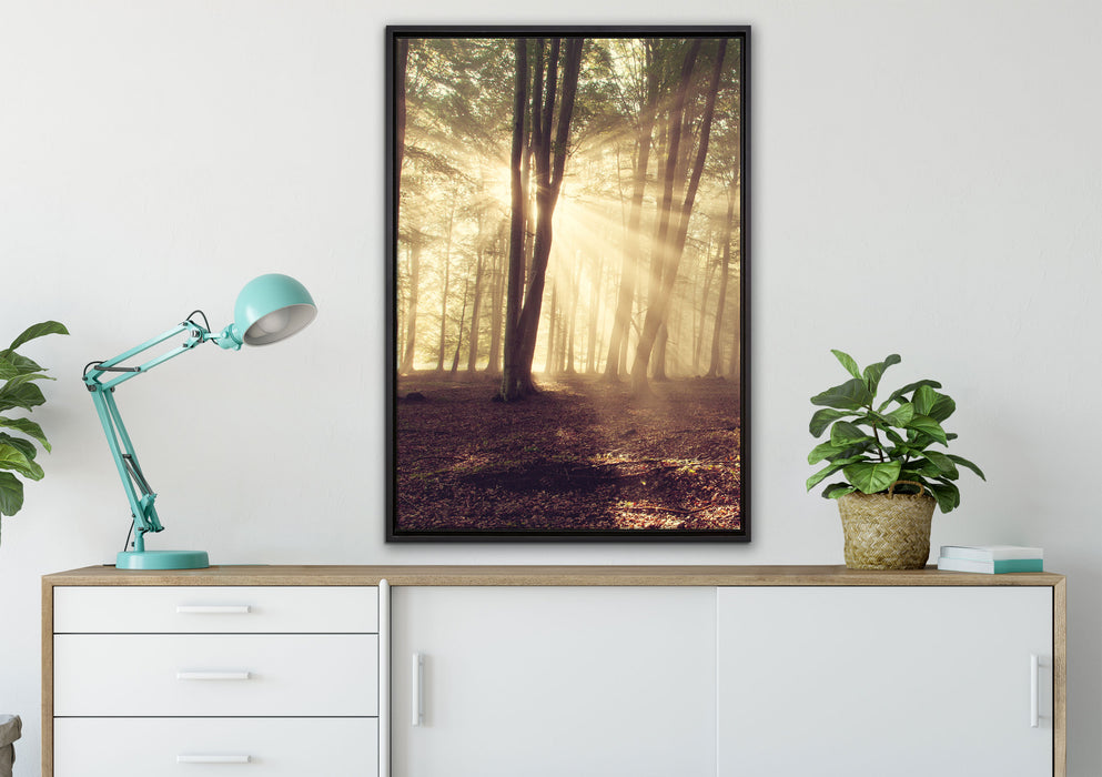 Waldlichtung im Sonnenschein auf Leinwandbild gerahmt verschiedene Größen im Wohnzimmer