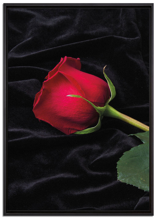 Rose auf Leinwandbild gerahmt Größe 100x70
