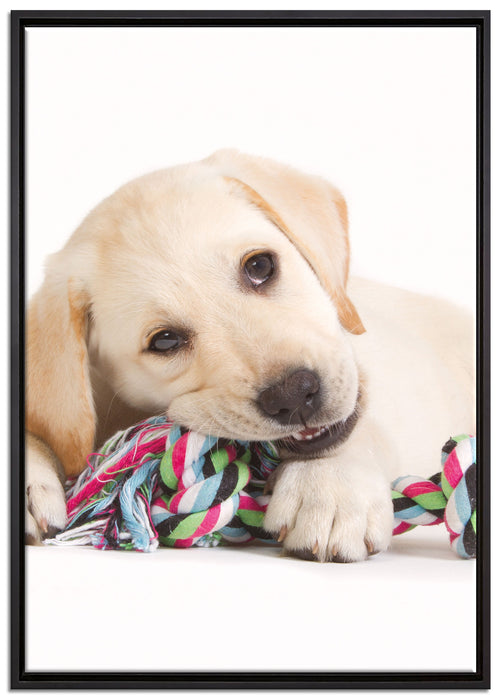 Hundewelpe auf Leinwandbild gerahmt Größe 100x70