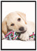 Hundewelpe auf Leinwandbild gerahmt Größe 100x70