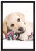 Hundewelpe auf Leinwandbild gerahmt Größe 60x40