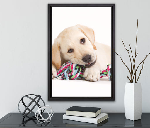 Hundewelpe auf Leinwandbild gerahmt mit Kirschblüten