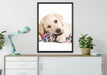 Hundewelpe auf Leinwandbild gerahmt verschiedene Größen im Wohnzimmer