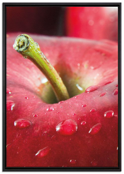 Apfel auf Leinwandbild gerahmt Größe 100x70