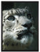 Leopard auf Leinwandbild gerahmt Größe 80x60