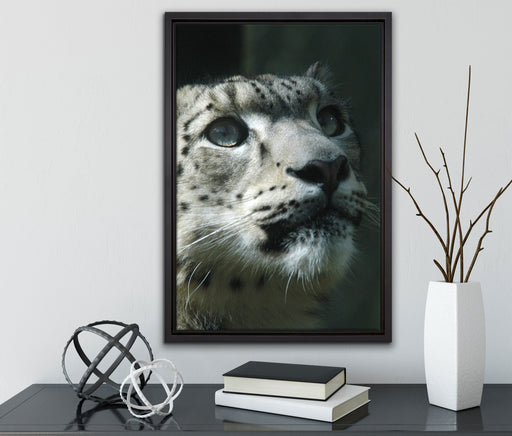 Leopard auf Leinwandbild gerahmt mit Kirschblüten