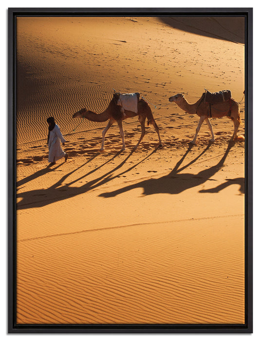 Kamelkarawane in der Wüste auf Leinwandbild gerahmt Größe 80x60
