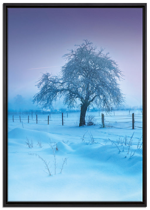 Baum in Winterlandschaft auf Leinwandbild gerahmt Größe 100x70