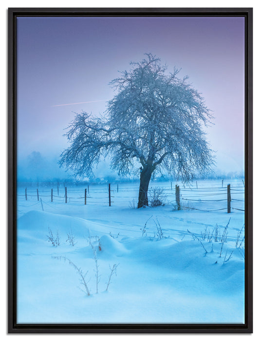 Baum in Winterlandschaft auf Leinwandbild gerahmt Größe 80x60