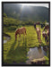 Pferde auf Wiese auf Leinwandbild gerahmt Größe 80x60