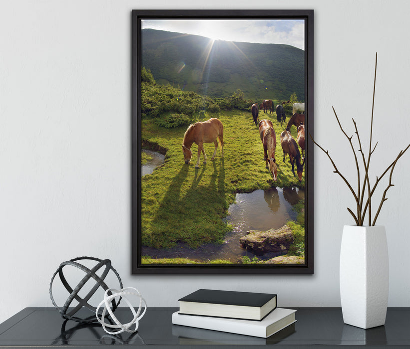 Pferde auf Wiese auf Leinwandbild gerahmt mit Kirschblüten