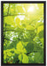 Grüne Blätter auf Leinwandbild gerahmt Größe 60x40