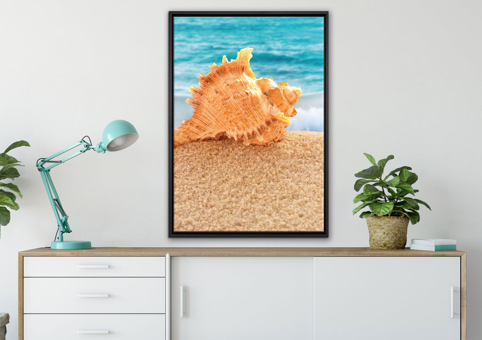Muschel am Strand auf Leinwandbild gerahmt verschiedene Größen im Wohnzimmer