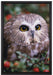 Eule im Vogelbeerenstrauch auf Leinwandbild gerahmt Größe 60x40