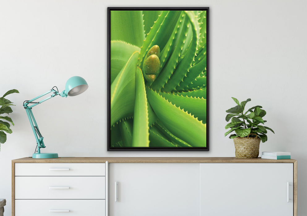 Aloe Vera auf Leinwandbild gerahmt verschiedene Größen im Wohnzimmer