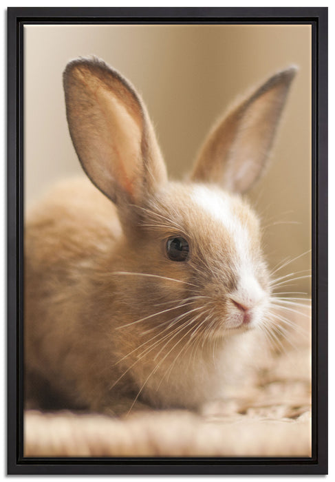 Süßes Kaninchen auf Leinwandbild gerahmt Größe 60x40