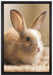 Süßes Kaninchen auf Leinwandbild gerahmt Größe 60x40