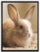 Süßes Kaninchen auf Leinwandbild gerahmt Größe 80x60